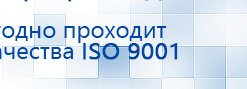 Электроды Скэнар -  двойной овал 55х90 мм купить в Волоколамске, Электроды Скэнар купить в Волоколамске, Нейродэнс ПКМ официальный сайт - denasdevice.ru